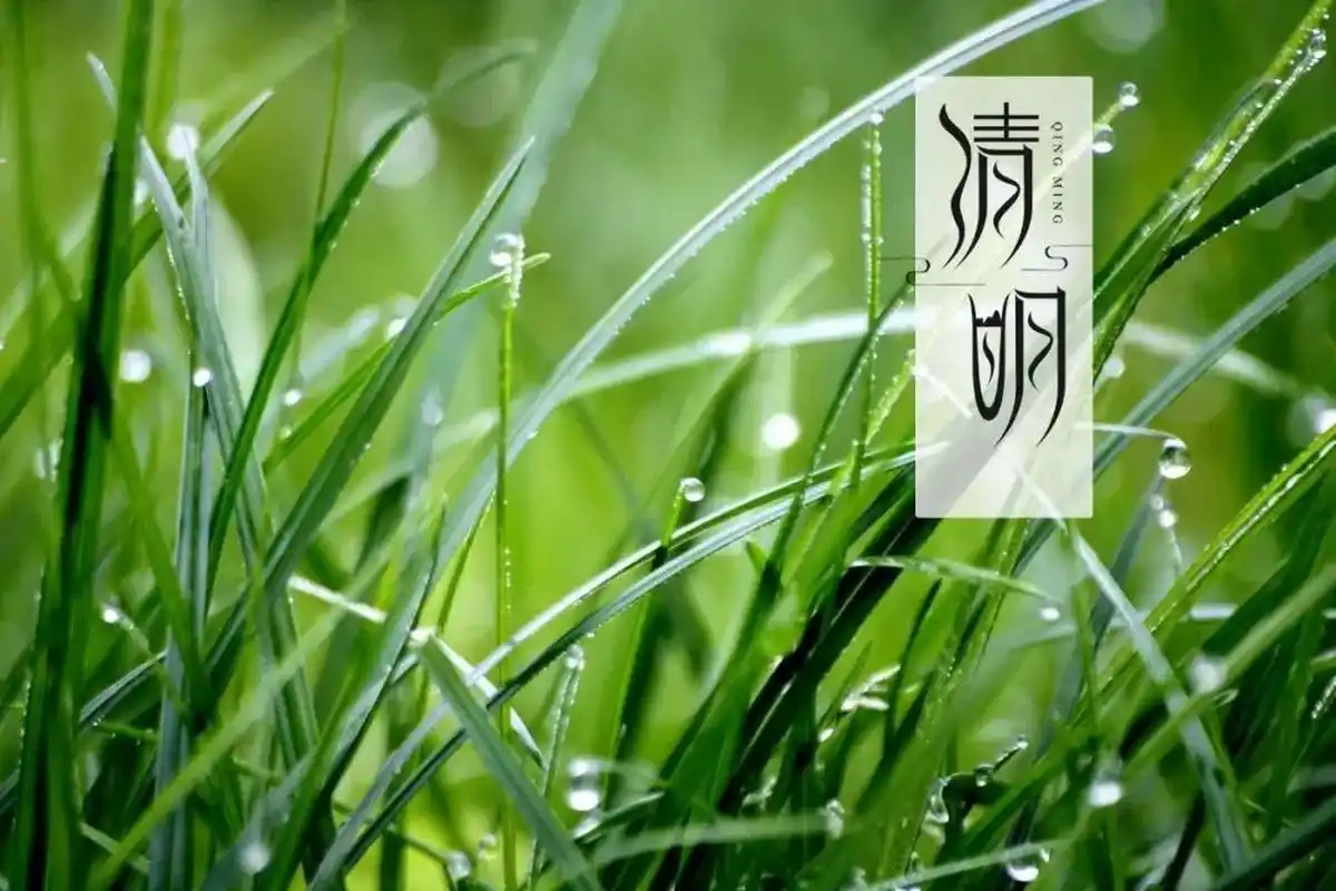 AVISO DE Festival Qingming